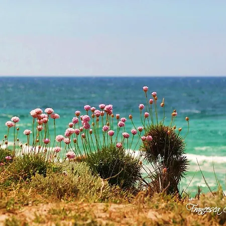 Residenze L'isola Surf House 3*