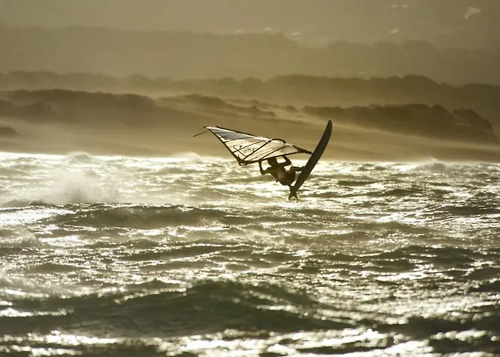 Residenze L'isola Surf House